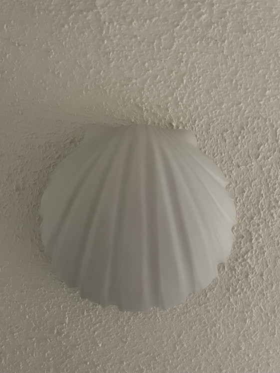 Image 1 of Glashütte Limburg Shell Wall Lights 2x