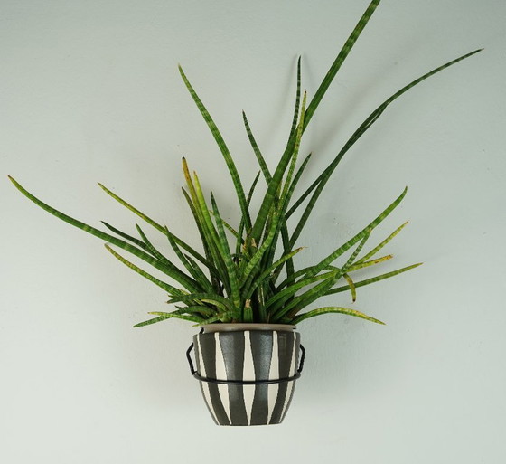 Image 1 of Set aus 4 wandmontierten Blumentopfhaltern im Mid-Century-Stil, Metall und Kunststoff, 1950er Jahre