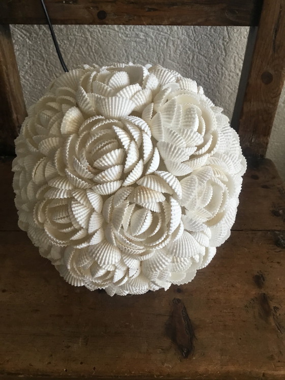 Image 1 of Handgefertigte Muschellampe