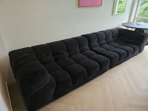 Image 1 of BB Italia Tufty time