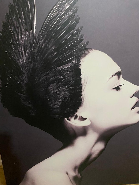 Image 1 of Boconcept black swan metal print - Frida Uma.