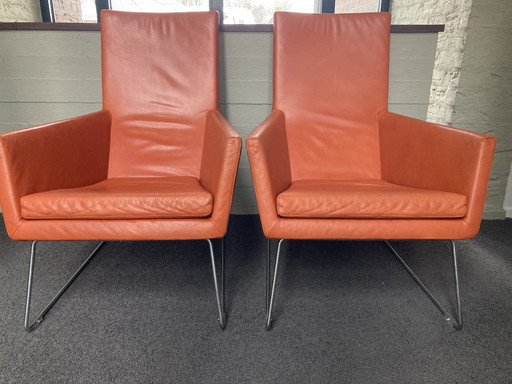 Cognac DON 2x étiquette Gerard van den Berg