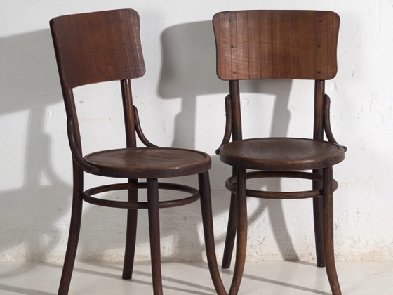 Pair of Thonet style bentwood chairs with curved board back – Central Europe, circa 1920 – Dining chairs (photo 2 of 40)