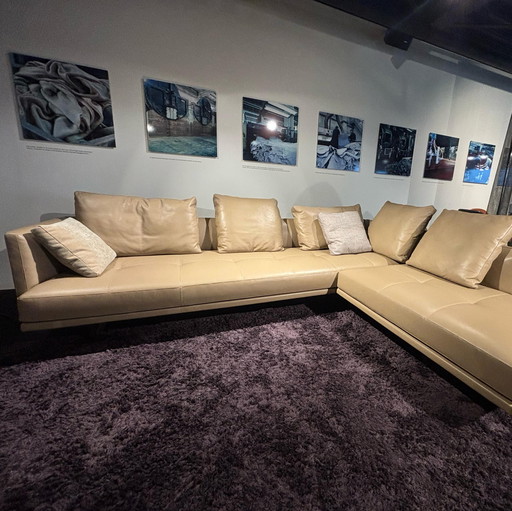 Walter Knoll Prime Time Ecksofa