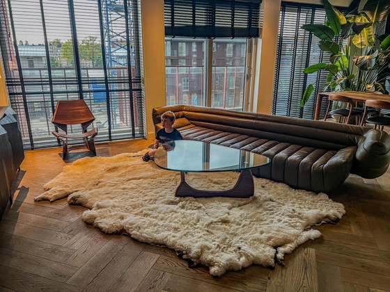 Image 1 of Baxter Tactiel