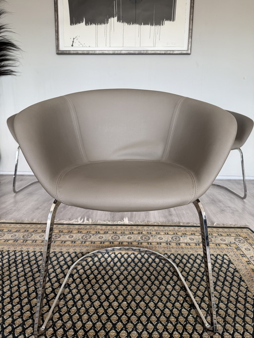 4x Arper Duna Chair Design by Lievore Altherr Molina, ca2014