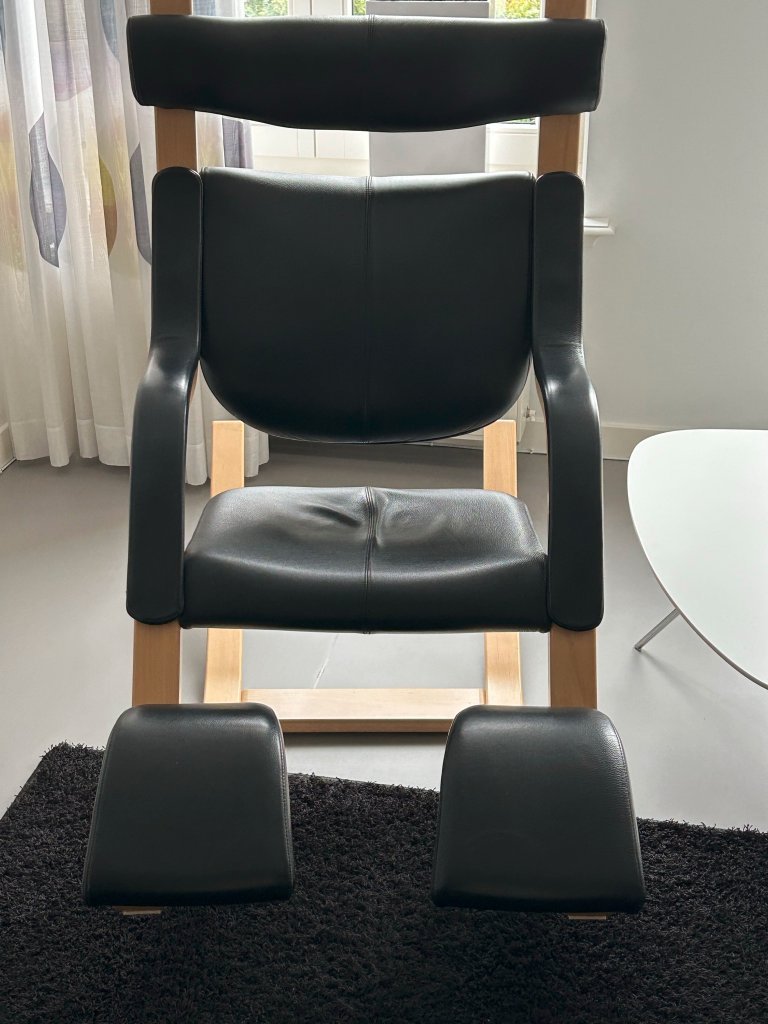 Verstellbarer relaxsessel gebraucht (964) | P34