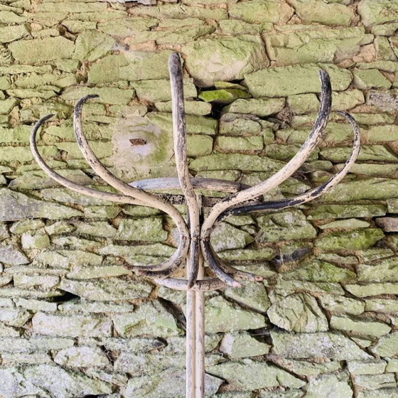 Image 1 of Perchero medio loro de madera curvada - Thonet - Modelo n°1