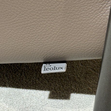 Image 1 of Scylla high with