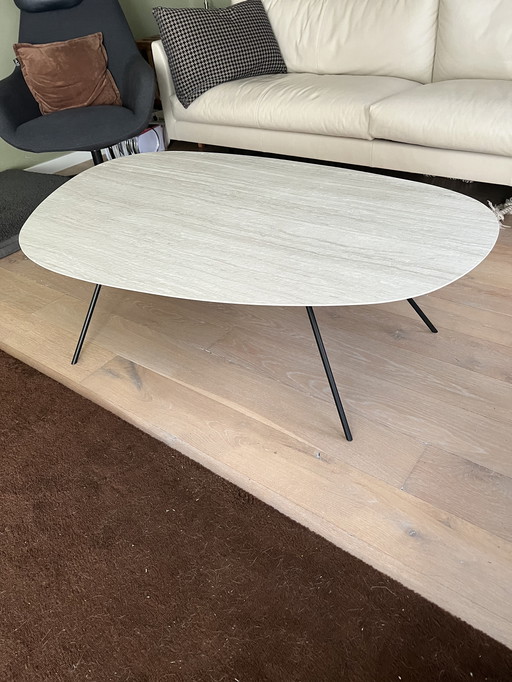 Leolux coffee table