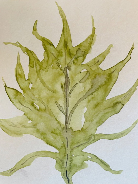 Image 1 of Dipinto ad acquerello firmato della collezione Herbier in trompe l'oeil