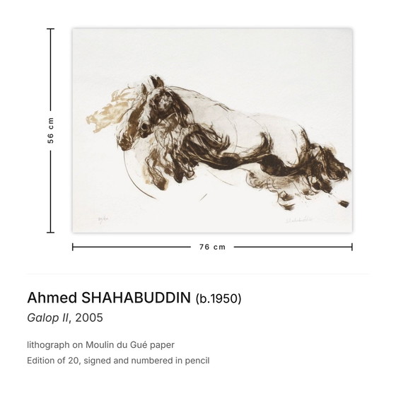 Gesigneerde lithografie van Ahmed Shahabuddin, Galop II 2005 – Litho's & Zeefdrukken, Paper (photo 3 of 5)