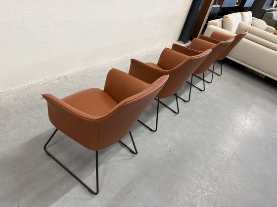 Image 1 of 4 Leolux Mara Dining Chairs Wapiti Hawk leather