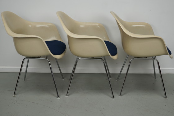 Image 1 of Ensemble de trois fauteuils DAX en fibre de verre parchemin Eames pour Herman Miller / Vitra