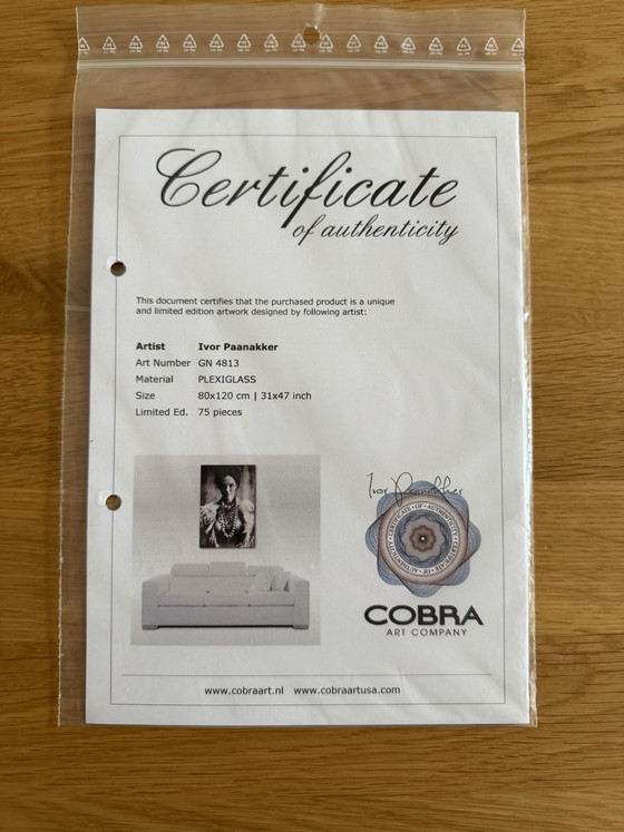 Cobra art 80x120 – Fotografie, Plexiglass (photo 5 of 7)