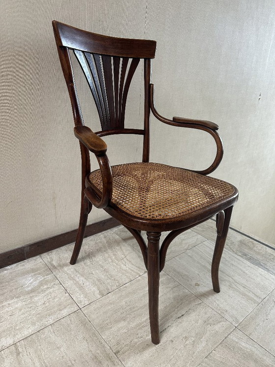 Image 1 of Silla Thonet Mundus