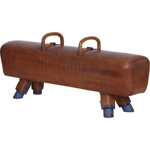 Banc de gymnastique vintage en cuir avec poignées en bois, Tchécoslovaquie, années 1930