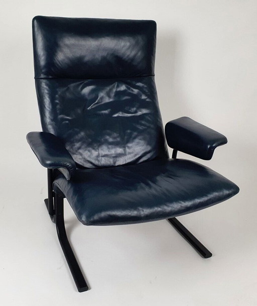 2x De Sede DS-2030 fauteuil
