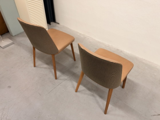 2 Montis Back me Up Chaises de salle à manger cuir marron tissu vert, Autre, Multicolore (photo 9 sur 9)