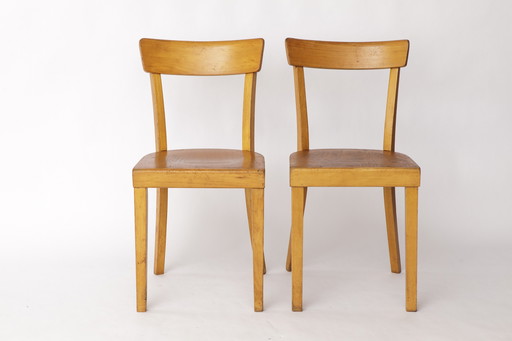 Pair of 1950s Frankfurt Dining Chairs, Germany – Refurbished Beechwood Classics
