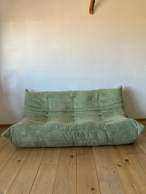 Ligne Roset Togo - groene rib