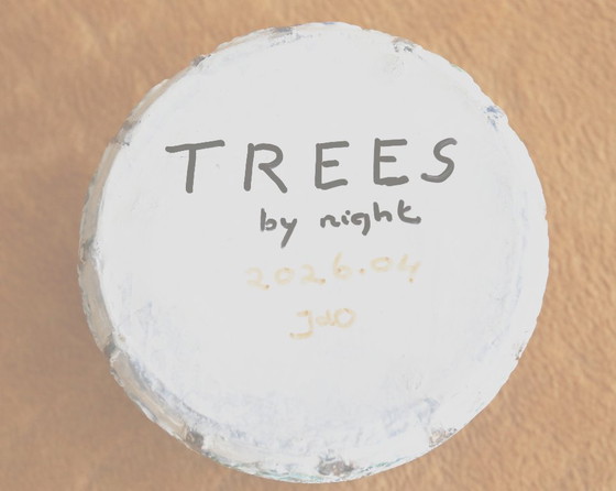 TREES by night - artículo de interior exclusivo - maceta – JdO, Objetos decorativos, Cerámica (photo 9 of 10)