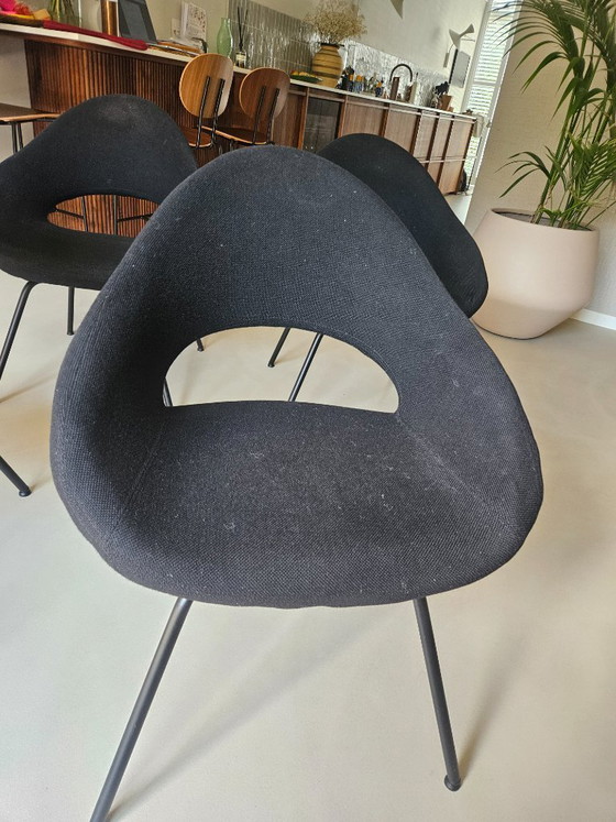 Image 1 of 4x Artifort Shark Chairs