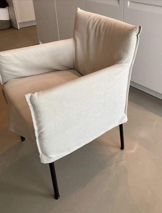 Image 1 of 6 sedie da pranzo Pim di Soho Company