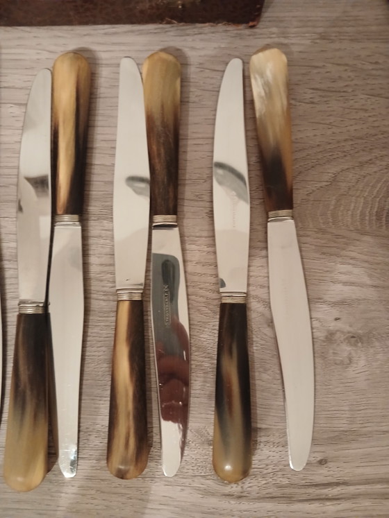 Cofanetto da Collezione 1920 1930 in Corno Bovino Posateria di Thiers Francia Chiusura in Ottone e Acciaio (photo 5 of 12)