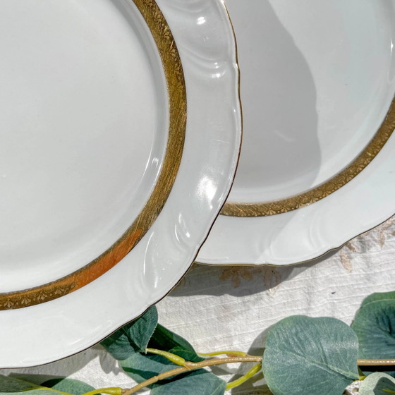 6 Vintage White and Gilded Porcelain Dinner Plates, French Limoges ADP "Ariane" - Elegant Antique French (photo 4 of 9)