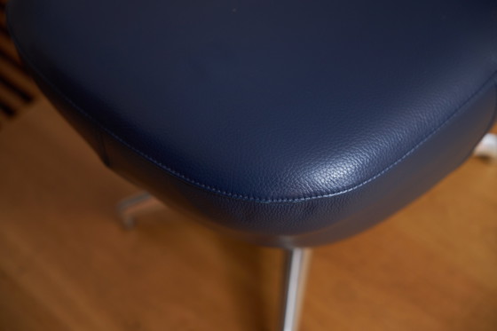 Image 1 of Leolux caruzzo