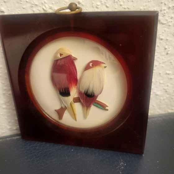 Image 1 of Cornice vintage in bachelite e veri uccelli piumati