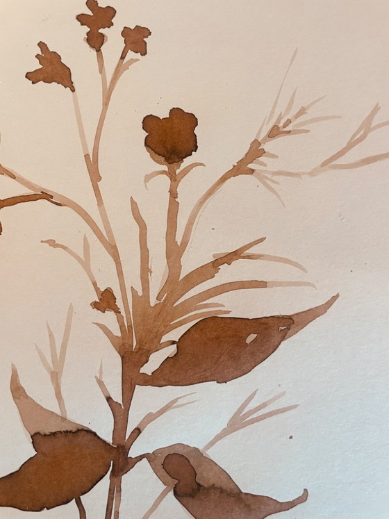 Image 1 of Painting, monochrome sepia still life "dried flowers", signed