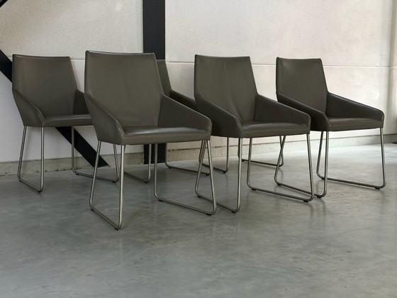 Set Design On Stock Vico - come nuovo – Sedie da pranzo, polished steel, Pelle (photo 3 of 12)