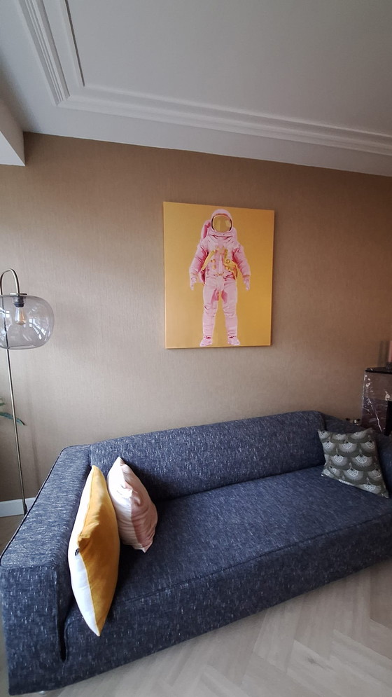Image 1 of Wouter van Donselaar - Pink Astronaut