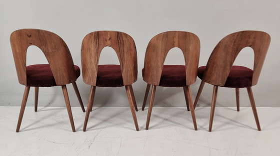 Image 1 of Chaises vintage d'Antonin Suman, années 1960, lot de 4