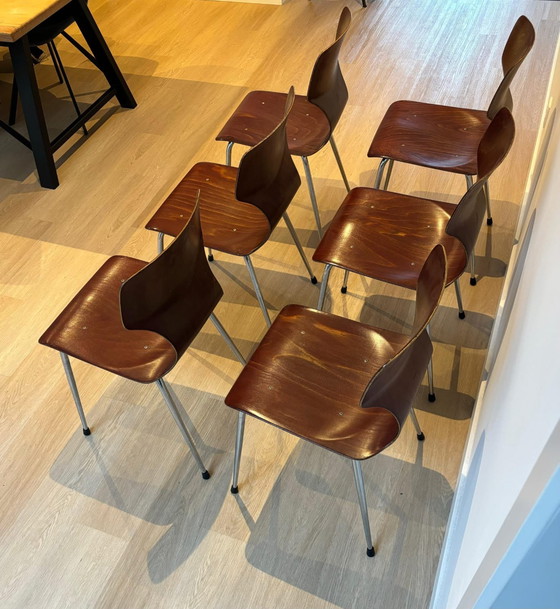 Image 1 of 6x Eromes Obo Chairs , Wijchen