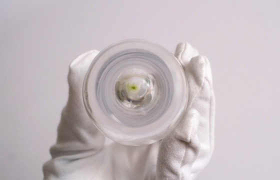 Image 1 of Transparent Ellipse-shaped Vase