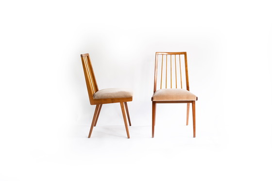 Image 1 of Dining chairs from Lübke, set of 4