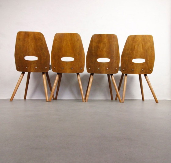 Image 1 of 4x Sedie d'epoca Tatra Pravenec "Gentleman" - 1963