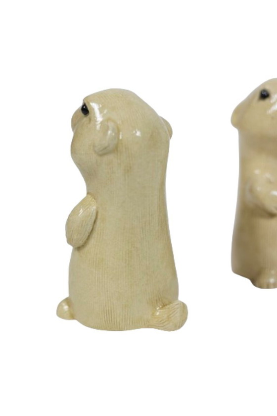 Image 1 of Valérie Courtet. Prairie dog. Contemporary work.