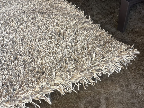 Image 1 of Brink e Campman Jazz Lush Carpet Storm Nuovo