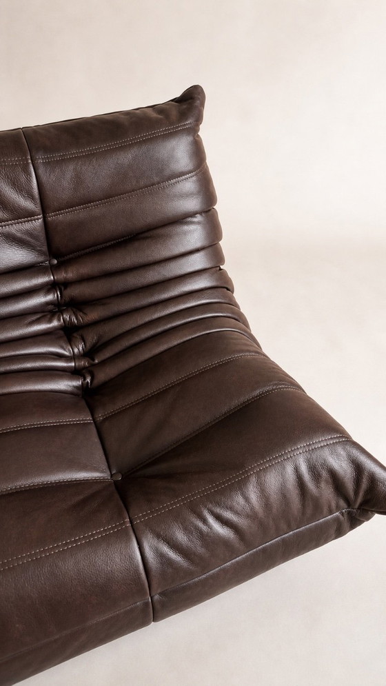 Image 1 of Zweisitzer-Sofas von Michel Ducaroy / Ligne Roset, braunes Leder