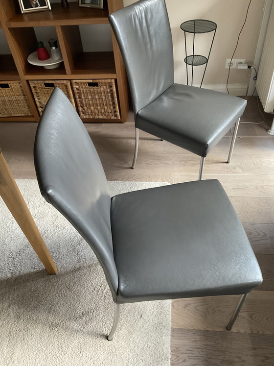 Six Chaises de Salle à Manger Bert Plantagie – Leather, Metal (photo 8 of 9)