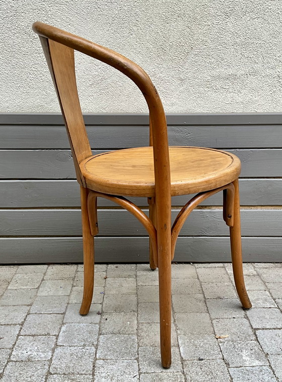 Rara poltrona Fischel in legno curvato - Inizi del XX secolo – Poltrone, Wood (photo 5 of 10)