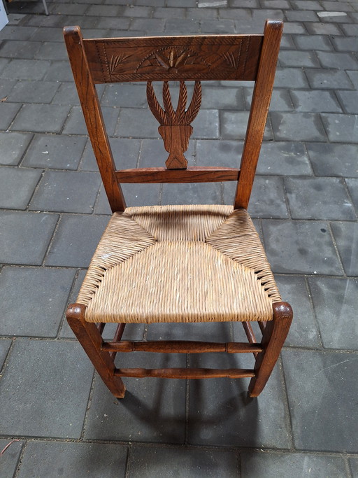 Ulmenholzstuhl aus dem 19. Jahrhundert