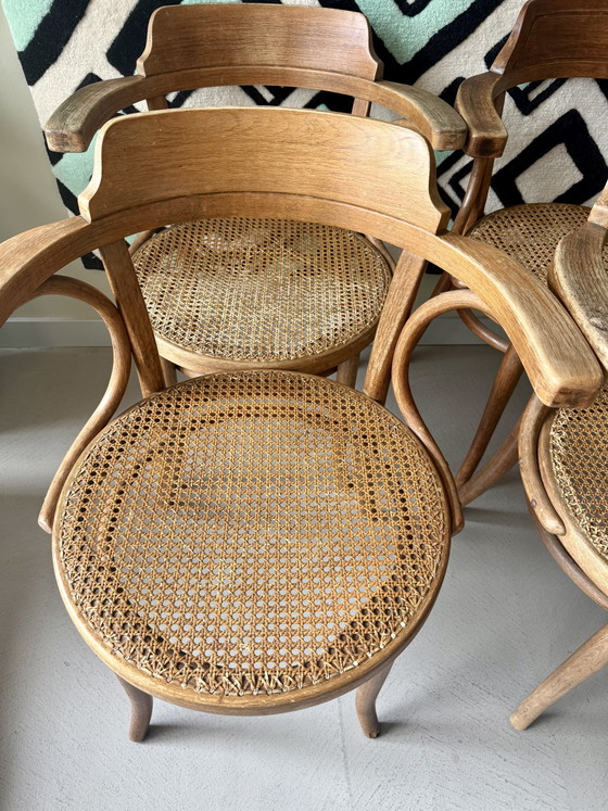 Image 1 of Antique Thonet chairs, 4 pieces