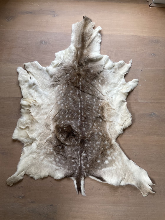 Image 1 of Damhertenhuiden wintervacht