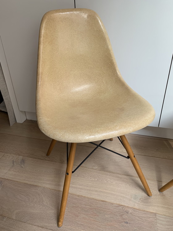 Image 1 of 2 sedie laterali vintage Eames Miller DSW in fibra di vetro color ocra chiaro