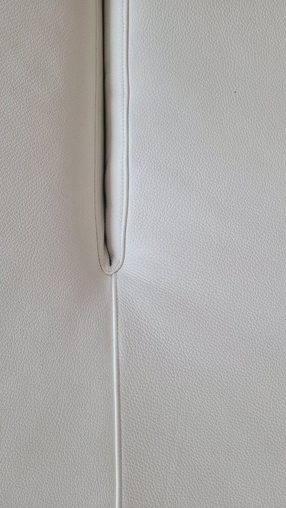 Image 1 of Flap - Edra